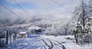 Сочинские энергетики устранили последствия непогоды