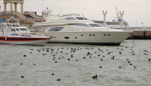 Сочинский морской порт внесли Реестр морских портов РФ
