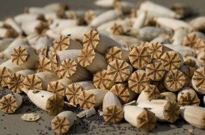 Жителя Нальчика могут наказать за организацию "опиумного" притона в Сочи