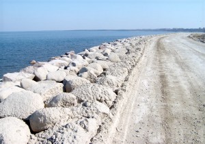 Строить центр круизных перевозок в Сочи хотят 4 компании
