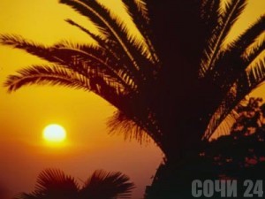 Программа «под Сочи»