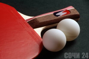 Сочинские чиновники состязались в нескольких видах спорта