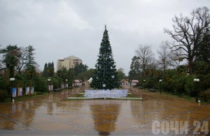 Новогодние представления пройдут во всех городах края