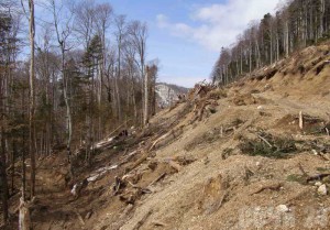 В Сочи вернут службу по мониторингу рек и оползней