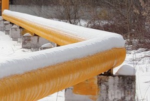 Упавшие деревья повредили газопровод на Мамайке Фото: Борисов А.А.