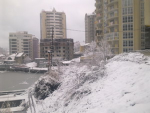 Улица Бамбуковая
