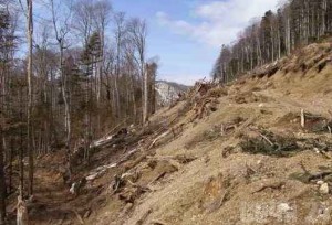 Все службы жизнеобеспечения стянуты на место крупного оползня