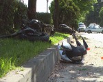 ДТП на набережной Сочинки