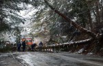 Дерево перекрыло движение по федеральной трассе