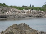 «Орнитологический парк» превращен в свалку отходов