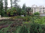 В Сочи снесен еще один детский сад