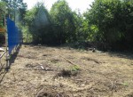 Вырубка деревьев в Кудепсте