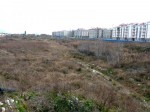 Орнитологический парк в Имеретинской низменности