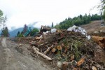 «Газпром» распечатал заповедные земли Сочи